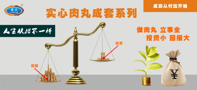 實心肉丸成套設備，讓你從此不一樣